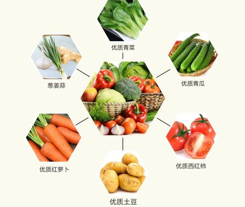 老西关食材产品系列 一站式采购，重温地道广府味